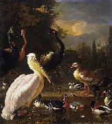 A Pelican and Other Birds Near a Pool, HONDECOETER, Melchior d